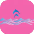 玩动相册